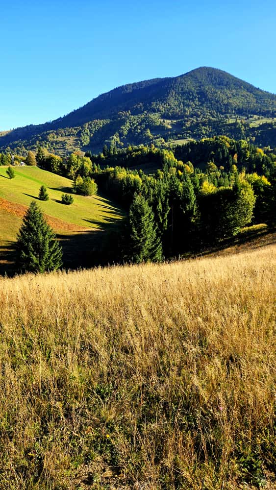 Panoramă montană
