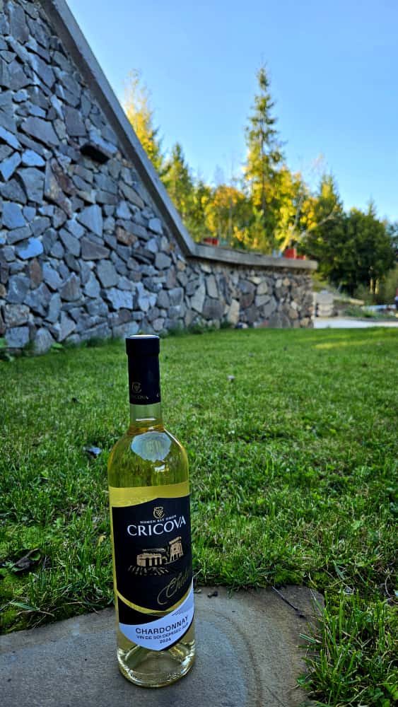 Colț de curte cu viță-de-vie