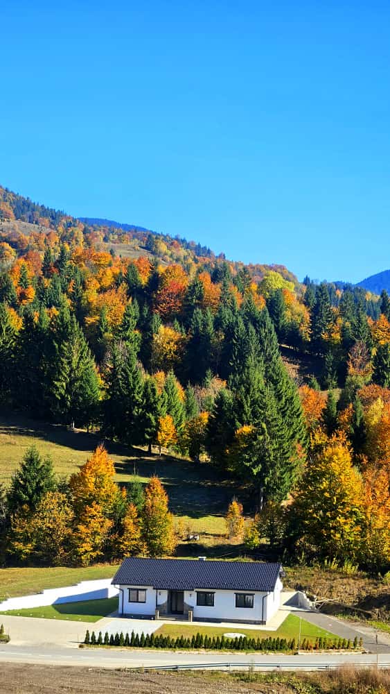 Lumină de toamnă peste valea Colibiței