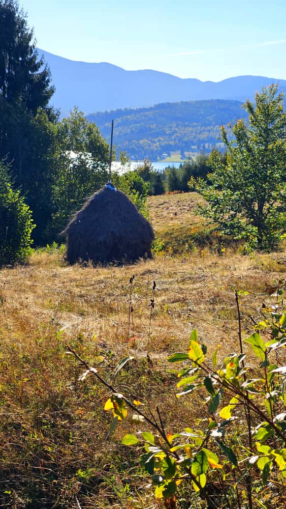 Lacul Colibița văzut de la casă